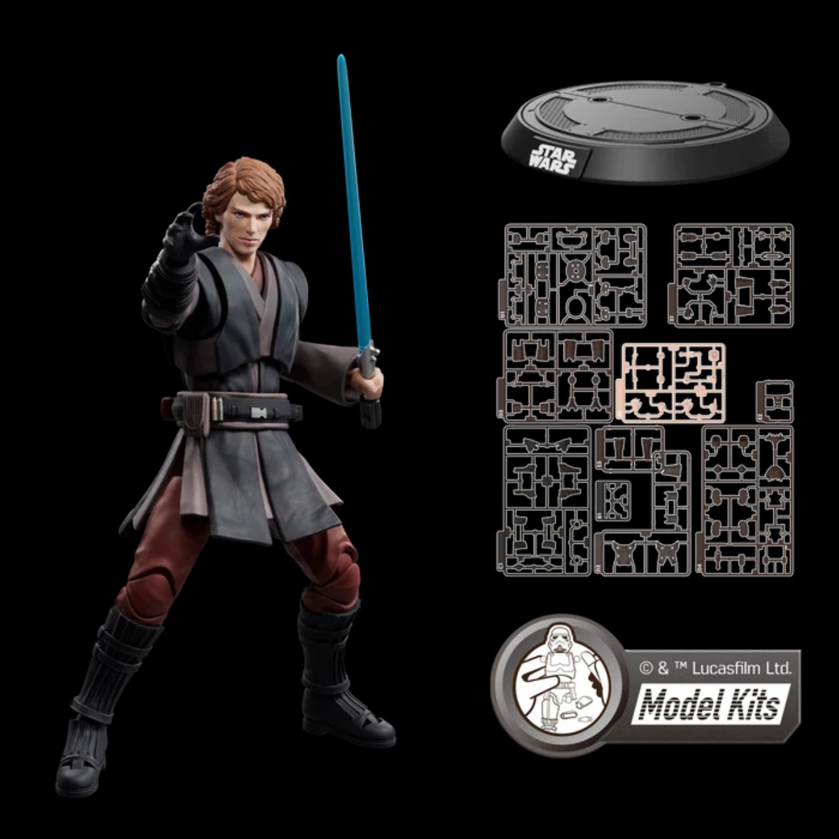 Anakin Skywalker - Guerre Stellari - Star Wars Champion Class Vol. 8